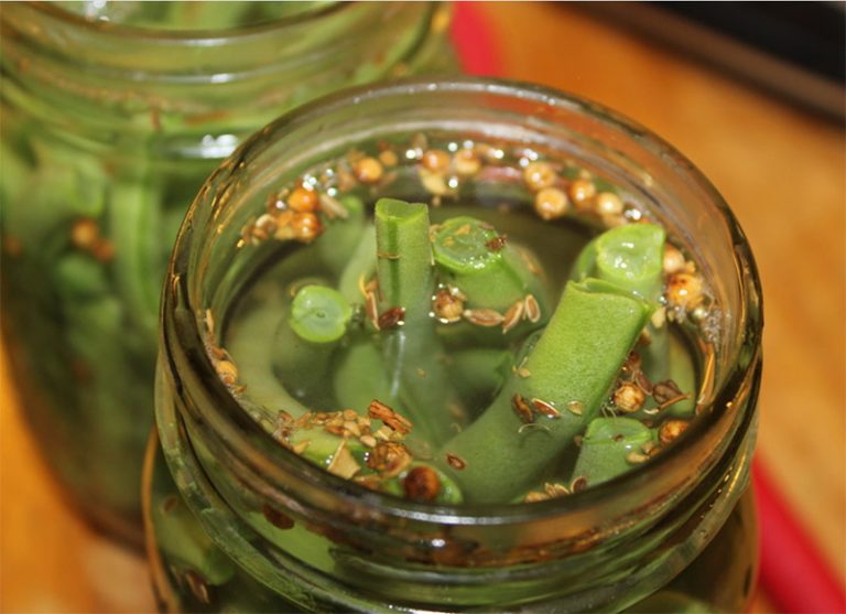 Comment Faire Des Haricots Verts Fermentés Maison