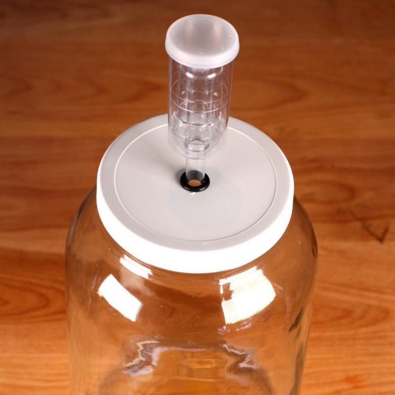 Demijohns DIAH 2 X 5 L - Pour Vin, Cidre, Fermentation, Stockage, Avec Couvercle étanche