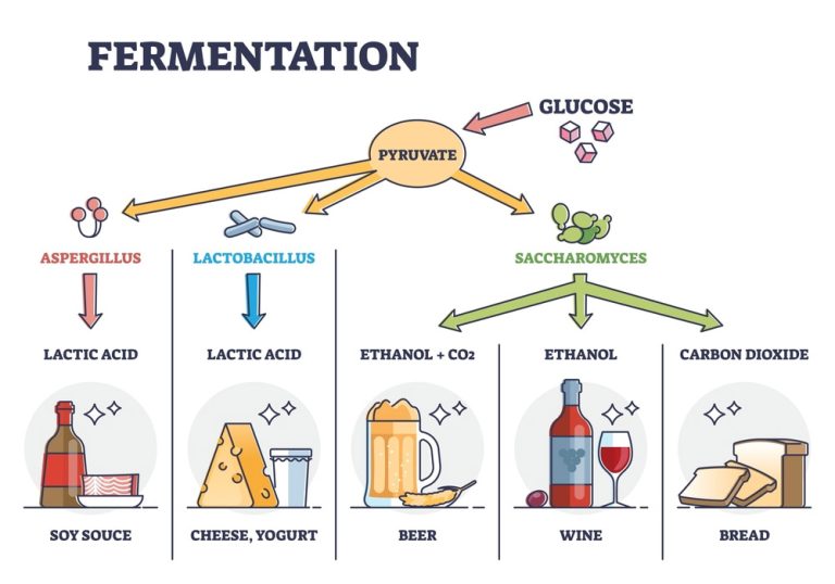 Ohulelks Kit De Fermentation Du Pain Au Levain - Paniers, Bandes De Marquage De Date Pour Pain Maison Parfait